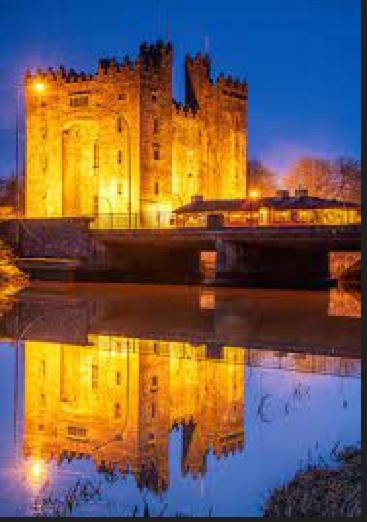 Bunratty Castle Gardens Villa Bagian luar foto